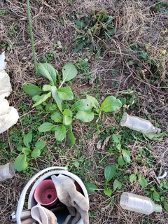 20201121_161544.jpg